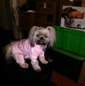 Meet your Posher, Patricia